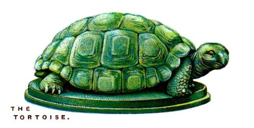 De Schildpad, 1923