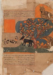 De gevangen kat en de bange muis, Folio uit een Kalila wa Dimna