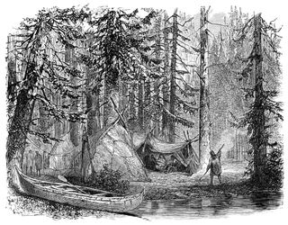 Het Bos voor de Emigrant, 1900