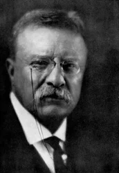 Theodore Roosevelt, 26e President van de Verenigde Staten