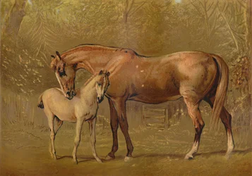 Volbloed Merrie en Veulen, ca. 1879