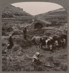 Graan dorsen bij Jacobs Well, circa 1900