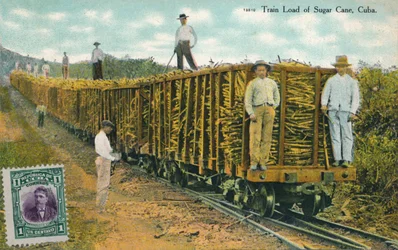 Treinlading suikerriet, Cuba, 1911