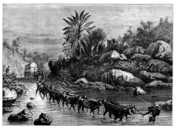 Reizen in Griqualand, Zuid-Afrika, ca. 1890