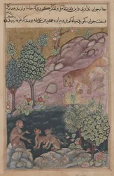 Tuti-Nama Verhalen van een papegaai: Verhaal XXIX, De leeuw keert terug naar zijn territorium en ziet, ca. 1560