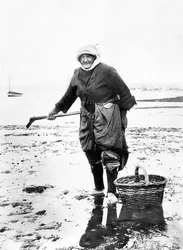 Verenigd Koninkrijk: een oude dame verzamelt kokkels aan de zeekust. Circa 1890