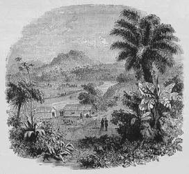 Uitzicht in Cayenne, ca. 1880