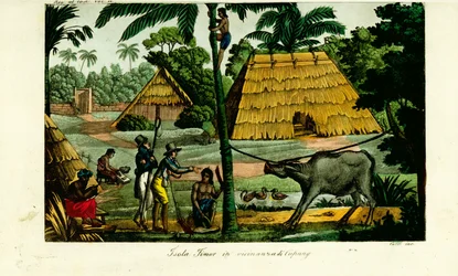 Dorpsscène nabij Kupang, Timor