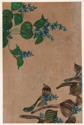 Waterplanten met blauwe bloemen, Edo-periode, 1615-1868
