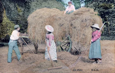 Met het hooi, c1900