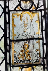 Gezegende Maagd Maria
