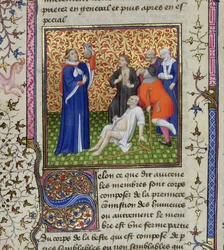 Ms.251 f.54v Een dokter met zijn patiënten, uit Des Proprietez des Choses, ca. 1415