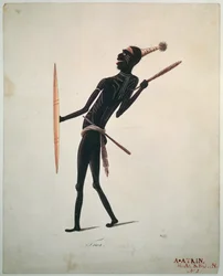 Towa door R. Browne (gekleurde print)