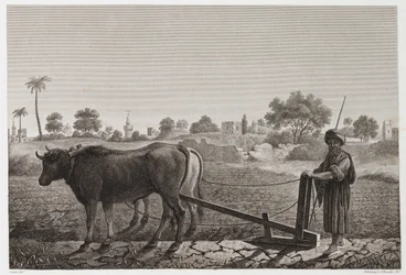 Akkerbouw, Ploegen Ploegen met ossen, Egypte, ca. 1798