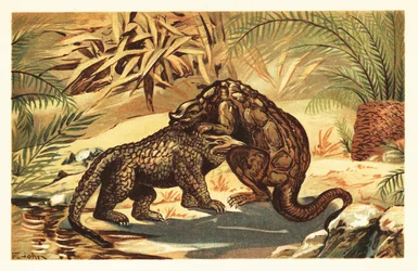 Gevecht tussen een Megalosaurus bucklandii en Iguanodon bernissar