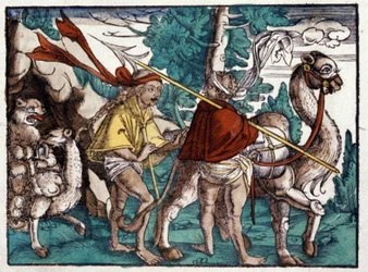 Karavaan in Afrika