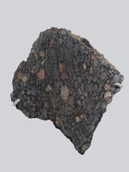 Carbonee chondriet (CBA). Gevallen in Gujba (Nigeria) in 1984. Nationaal Natuurhistorisch Museum, Parijs