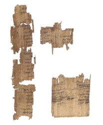 Collectie van Griekse en Koptische papyrusfragmenten, 2e tot 4e eeuw
