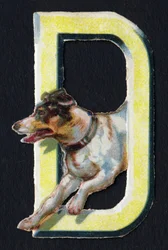 D als Hond. Kever decoupis over het thema dieren. Gravure. Serie van 26 wafelchromolithografieën van Engelse oorsprong. Eind 19e eeuw.