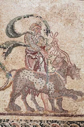 Detail van De Triomf van Dionysos - Terugkeer van de god van een militaire expeditie naar India - Silenus houdt de teugels van de panters vast - Paphos mozaïeken, Huis van Dionysos, Eind 2e eeuw na Christus - Cyprus - De triomf van Dionysos - Lang mozaïek 
