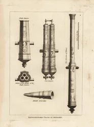 Buitengewone stukken artillerie: aanzicht en doorsnede van de culverine van Nancy, een drievoudig kanon, een tweelingkanon en een oude schroefstuk