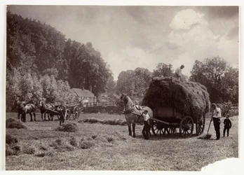 Landbouwscènes, Oogsten & Opslag, Pre-1900 Hooien, ca. 1890