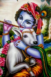 Hindoe god Krishna met een kalf. Watford, VK.