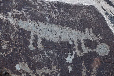 Indiaanse rotstekeningen met afbeeldingen van dieren - Petroglyph National Monument - Albuquerque, New Mexico, VS (USA)