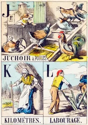 J K L : Kippenhok, Kilometers, Ploegen - "Alfabet van de boerderij" eind 19e eeuw (gravure)
