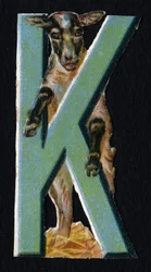 K als Karakul (uit Beetle decoupis)