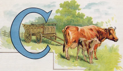 Letter C: Koets (uit ABC L