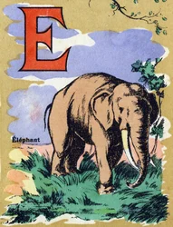 Letter E zoals een olifant. Geïllustreerd alfabet. Beelden verzameld in Jarville-Nancy, begin 20e eeuw.