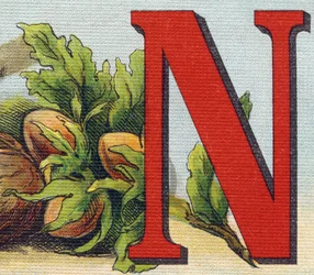 Letter N: hazelnoten