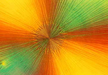 Micrografie (Licht) Ascorbinezuur, licht micrografie