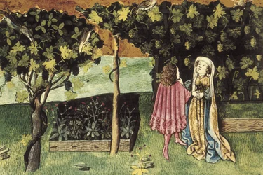 Miniatuur over druiven, vrucht die buikvet vermindert en afslankt - IBN BUTLAN, Abu-l Hasan al-Mujtar (ca. 1001 - 1066). Nestoriaanse christelijke arts en filosoof uit Bagdad. Folio 83r. Illustratie over de druiven, vrucht die buikvet vermindert en afslank