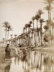 Palmbomen langs de rivier de Nijl. Op de voorgrond mannen in traditionele kleding