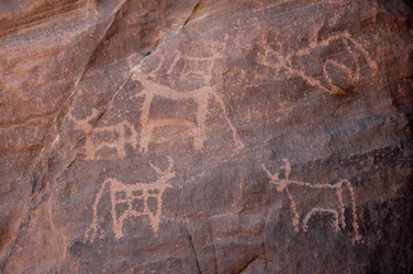 Rotstekeningen, Prehistorie: Gravure van een groep vee, waarvan één linksonder, in het Uweinat-massief, Egypte. Fotografie