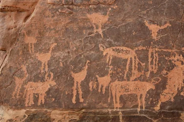 Rotstekeningen, Prehistorie: Detail van een gravure van een set struisvogels en vee in het Uweinat-massief, Egypte (Periode van 8000 tot 3000 jaar v.Chr.). Fotografie