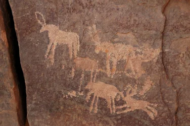 Rotstekeningen, Prehistorie: Gravure van een set antilopen en een hond (rechtsonder) in het Uweinat-massief, Egypte. (Periode van 8000 tot 3000 jaar v.Chr.). Fotografie