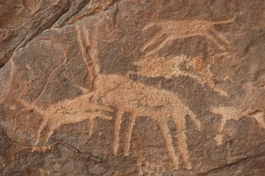 Rotstekeningen, Prehistorie: Gravure van een antilope aangevallen door een roedel honden in het Uweinat-massief, Egypte (Periode van 8000 tot 3000 jaar v.Chr.). Fotografie