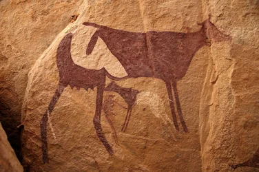 Rotstekeningen, Prehistorie: Rotsschildering van een grote tweekleurige koe en haar kalf in een versierd onderkomen, in het Uweinat-massief, Soedan. Periode van 8000 tot 3000 jaar v.Chr. Fotografie