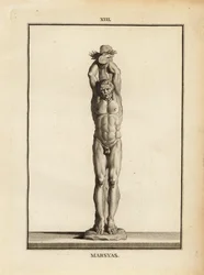 Standbeeld van de sater Marsyas die de straf van Apollo ontvangt, levend gevild