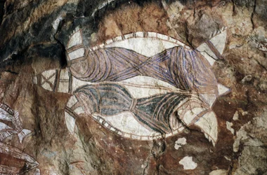 Schildpad, rotsschildering, Arnhem Land, Noordelijk Territorium, Australië, Aboriginal cultuur