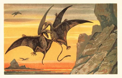 Twee pterodactylen vechten in de lucht tegen een karmozijnrode hemel