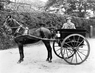 Verenigd Koninkrijk: Een paard en wagen. ca. 1905