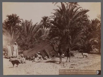 Uitzicht vanaf een locatie in Noord-Afrika - Nomadenkamp (albumine fotografische print)