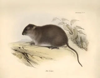 Zoologie: De 