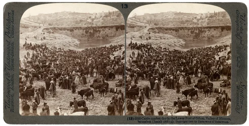 Veemarkt dag, in de onderste poel van Gihon, Vallei van Hinnom, Jeruzalem, Palestina, 1900