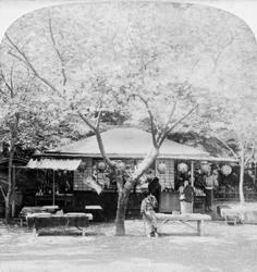 In het hart van het bloemenrijk, Nara, Japan, 1896