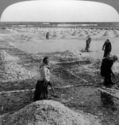 Reservoir na verdamping, het omkeren van de zoutvelden, Solinen, Rusland